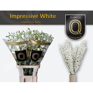DELPH DU IMPR WHITE 100CM X30