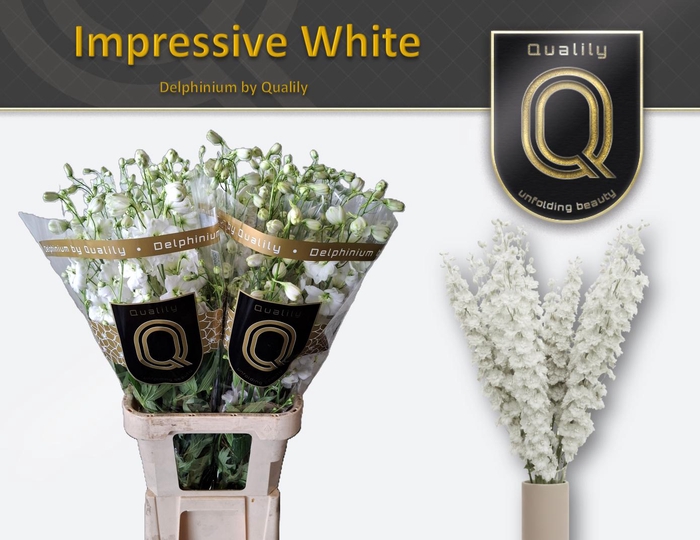 <h4>DELPH DU IMPR WHITE 100CM X30</h4>