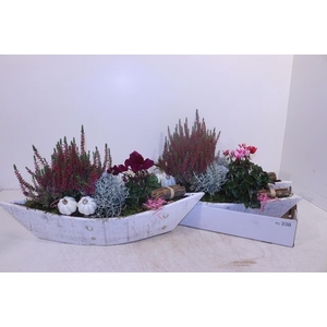 ARR GARDEN BOAT X2