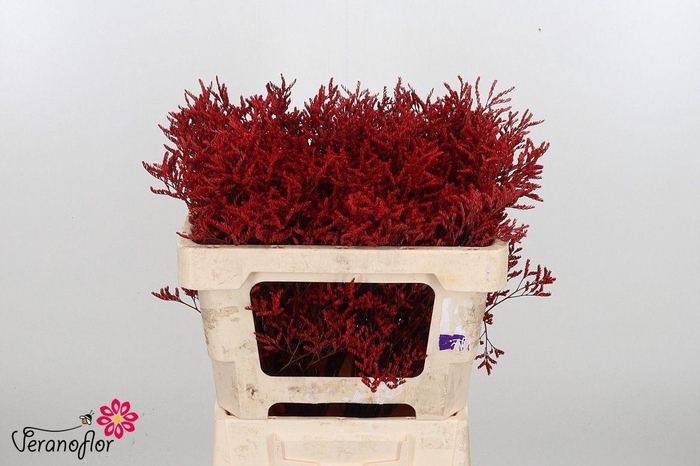 <h4>LIM OV KLB H%</h4>