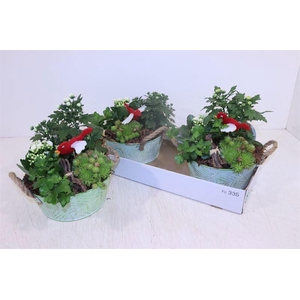 ARR TUINPLANTEN