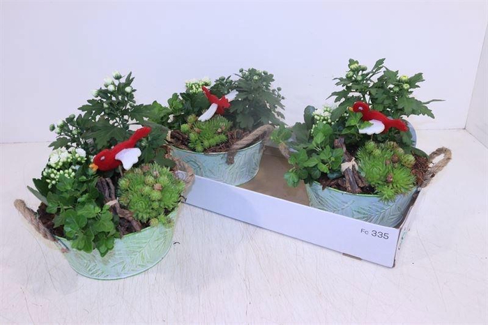 <h4>ARR TUINPLANTEN</h4>