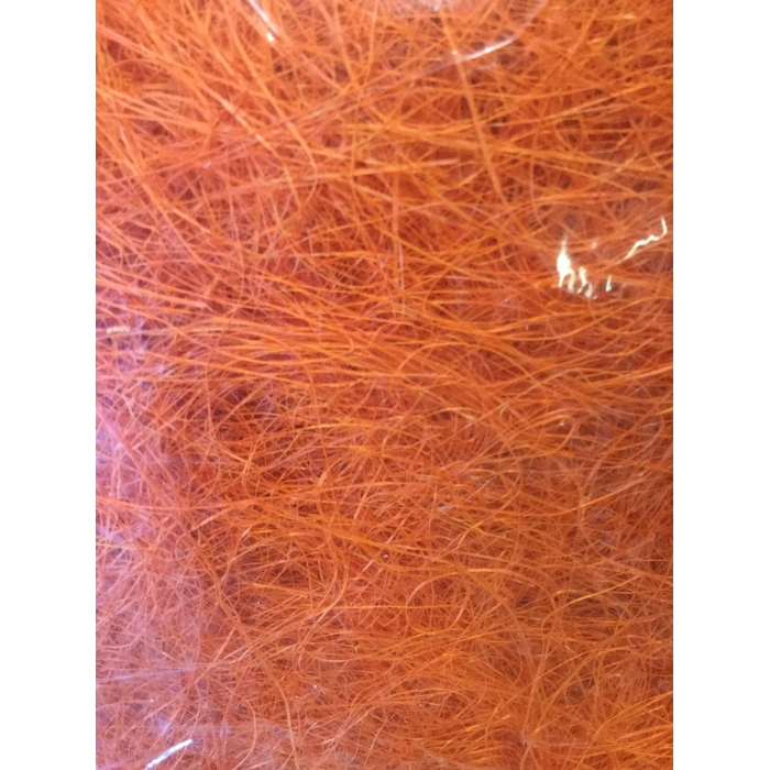 <h4>SISAL ORANJE</h4>