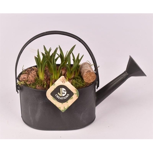 Zink gieter grijs 23x11cm