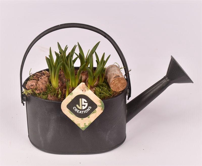 <h4>Zink gieter grijs 23x11cm</h4>