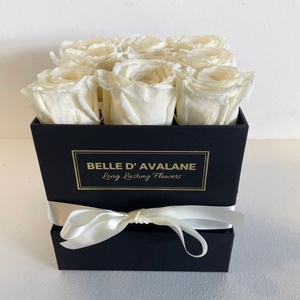 Box vk 15cm zwart-champagne