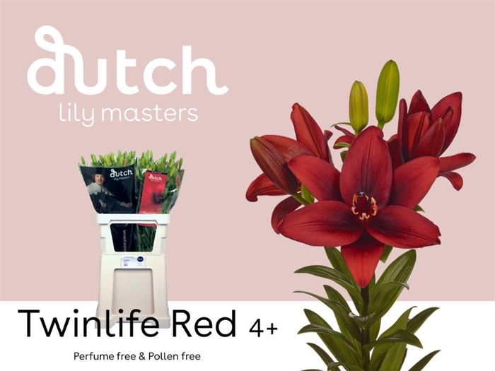 <h4>Li Az Twinlife Red</h4>