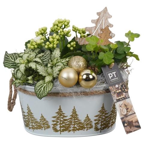 <h4>PTCHG5657 Arrangementen Kerst</h4>