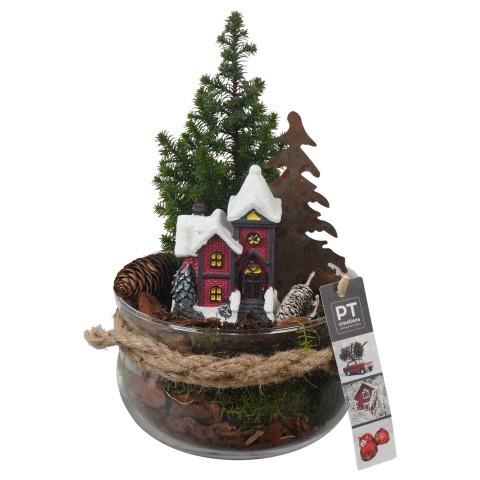 <h4>PTCWW6822 Arrangement Winter in glas schaal</h4>