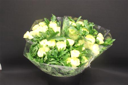 <h4>Ran Moderna Limoncello</h4>