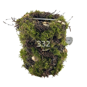 Krans Voorjaar Nr. 332