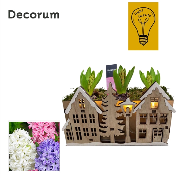 <h4>Arrangementen Hyacinthus 6%</h4>