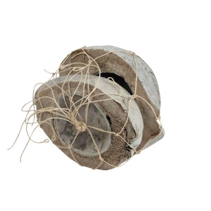 Coconut Half 2 Pcs H19D19