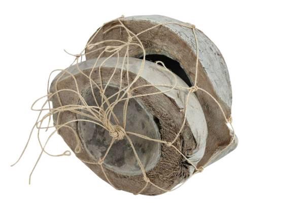 Coconut Half 2 Pcs H19D19