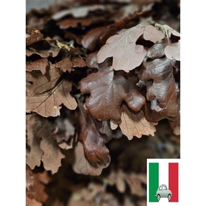 GESTABILISEERD EIK BURGUNDY