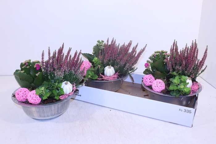 <h4>ARR TUINPLANTEN</h4>