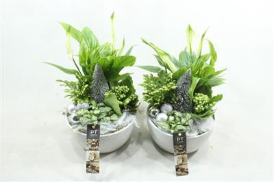 <h4>4305 Wit Ker Spath</h4>