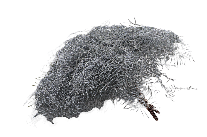 <h4>Koraalvaren Klb Silver X5</h4>