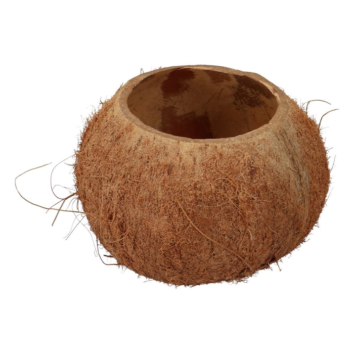 <h4>Droogdeco Coco half x3</h4>