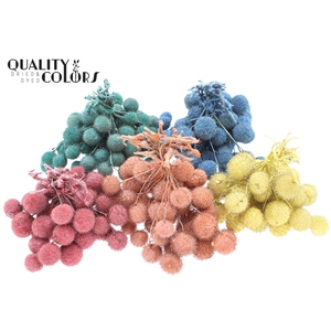 Small ball per bunch in poly Pearl Mix