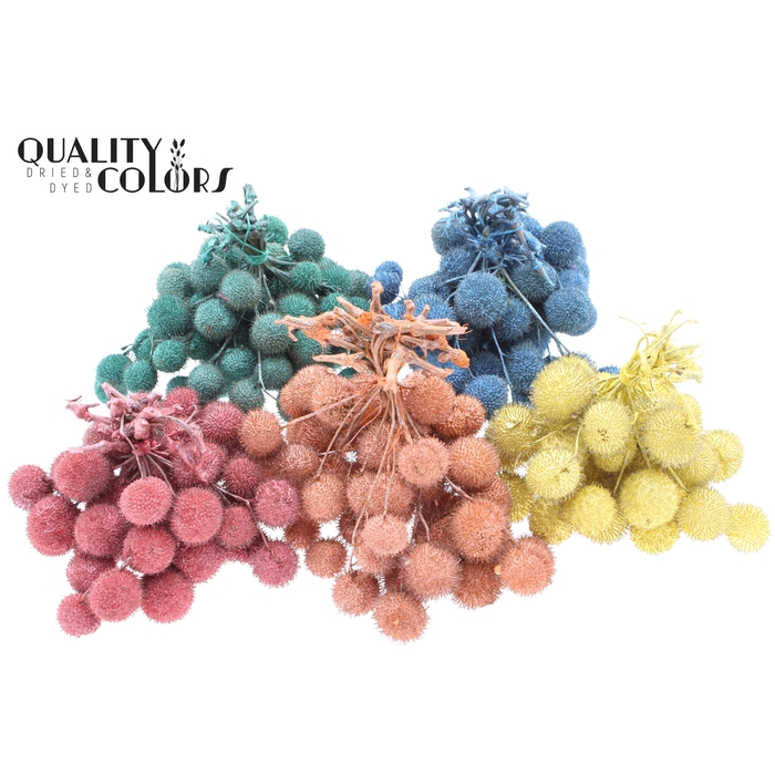 <h4>Small ball per bunch in poly Pearl Mix</h4>