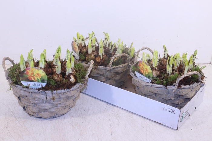 <h4>ARR N TETE A TETE</h4>