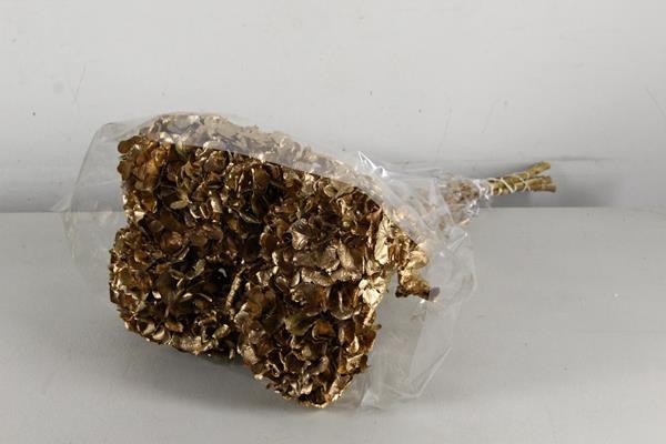 <h4>Df Hydrangea Antique Gold</h4>