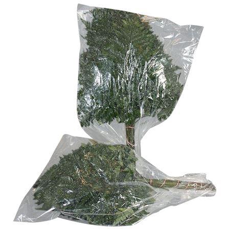 <h4>LEDERVAREN EXTRA VACUUM RIO MAR</h4>