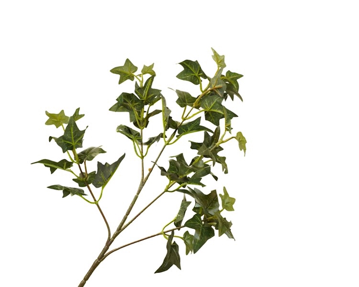 <h4>Hedera Leaf Branch Green</h4>
