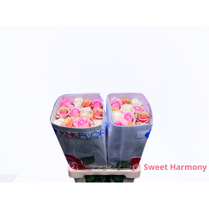 R GR SWEET HARMONY