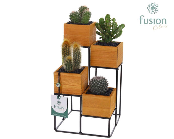 <h4>Tower hout met metaal met Cactussen</h4>