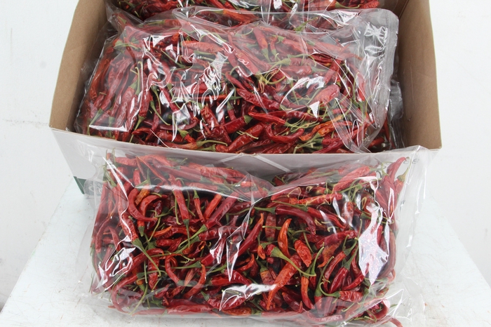 <h4>Frt Chilli Small Red (250g)</h4>
