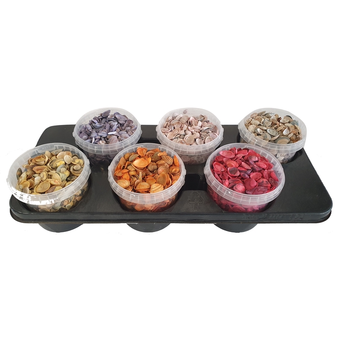<h4>Shells north sea 1 ltr Mixed colours</h4>