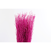 Berk Klb Cerise