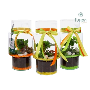 Green Bottle Sara Medium met Arrangement