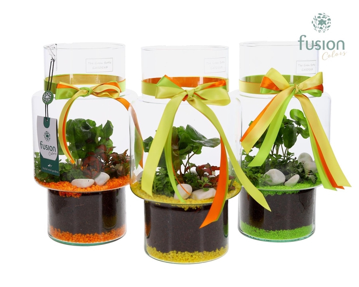 <h4>Green Bottle Sara Medium met Arrangement</h4>