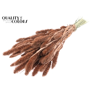 Setaria per bunch Copper + Glitter