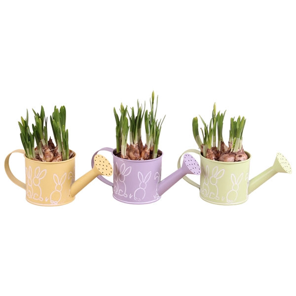 <h4>Easter Arr. Narcis Zinc Watering Can Bunny Relief Ø21cm</h4>