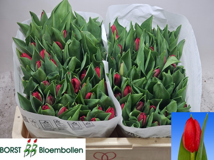 <h4>TU EN HEARTBREAKER</h4>