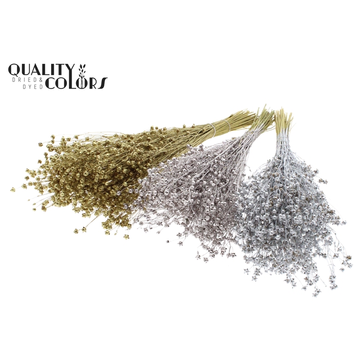 <h4>Lino Vlas p/bunch in poly Mixed Colours Wedding</h4>