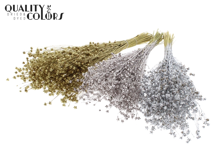 Lino Vlas p/bunch in poly Mixed Colours Wedding