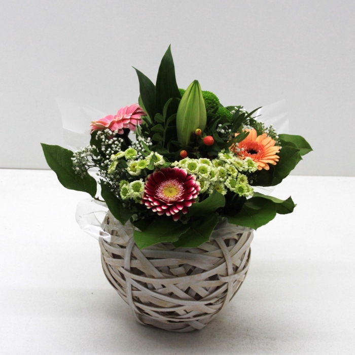 <h4>Aqua-Bulle Mand mix</h4>