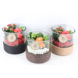 arr2 PL - Glas cilinder touw x3 mix