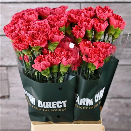 <h4>Di St Mandalay</h4>