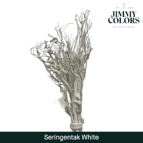 <h4>Seringen Tak L65 Wit</h4>