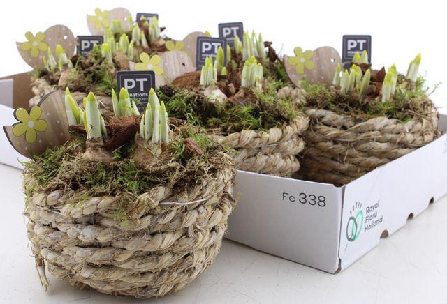 <h4>ARR N TETE A TETE</h4>