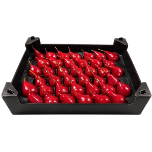 Waxpeer Rood Kerst