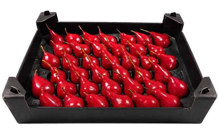 <h4>Waxpeer Rood Kerst</h4>