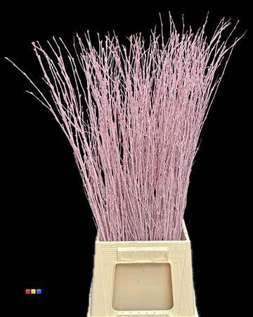 Betula / Berkentak Light Pink