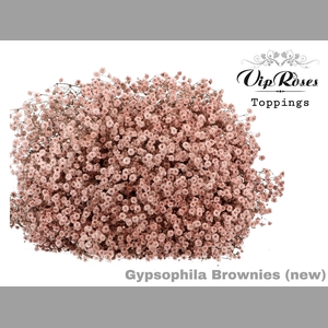 GYPS PA BROWNIES